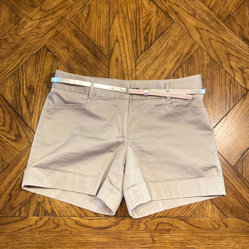 *Like New* Editor shorts